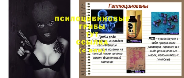 PSILOCYBIN Алзамай