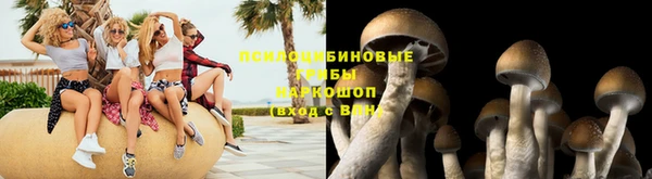 PSILOCYBIN Алзамай