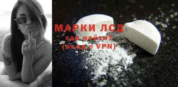 PSILOCYBIN Алзамай