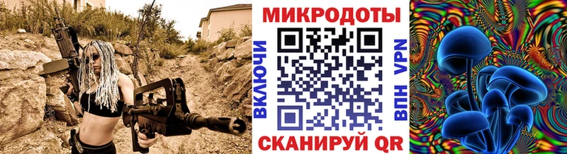 Псилоцибиновые грибы Psilocybe  сайты даркнета как зайти  Ачхой-Мартан  KRAKEN зеркало 